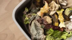 Мясо с запахом аммиака. Выбросить, не раздумывая